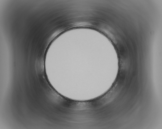 X0000112951322200909141359