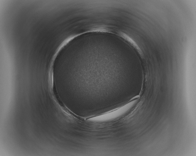 X0000112951323200909141359