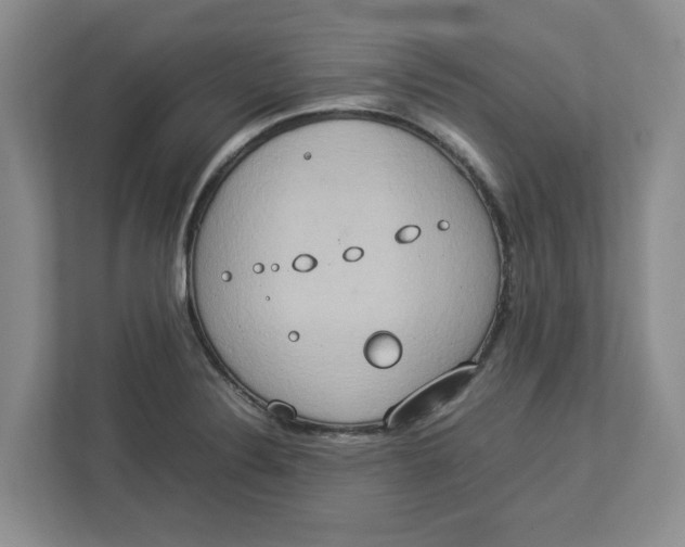 X0000112951324200909141359