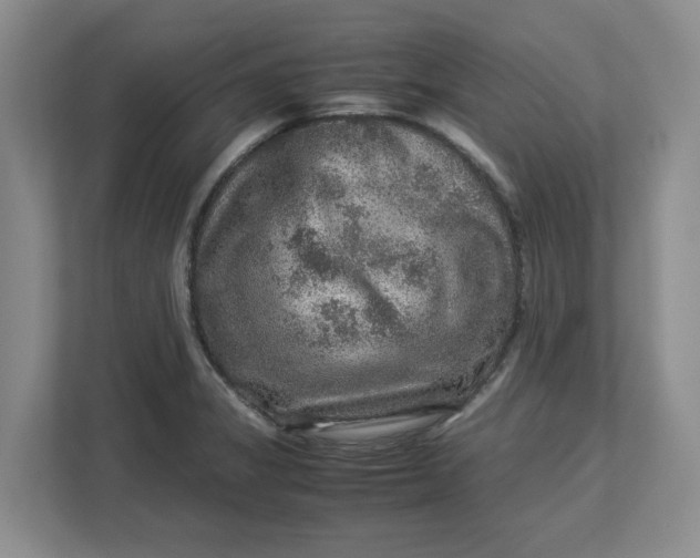 X0000112951325200909141359