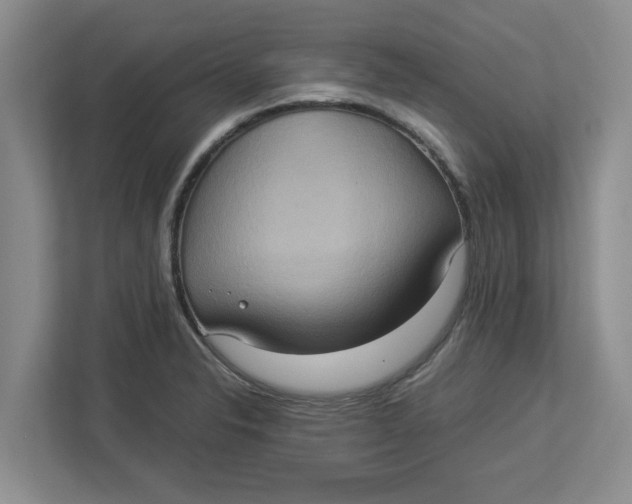 X0000112951326200909141359