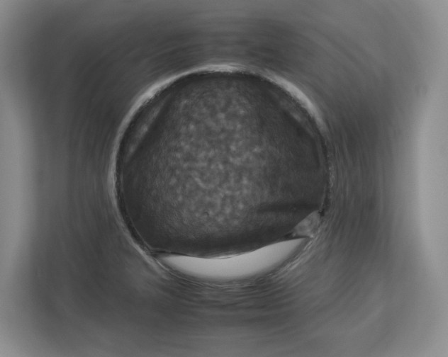 X0000112951327200909141359