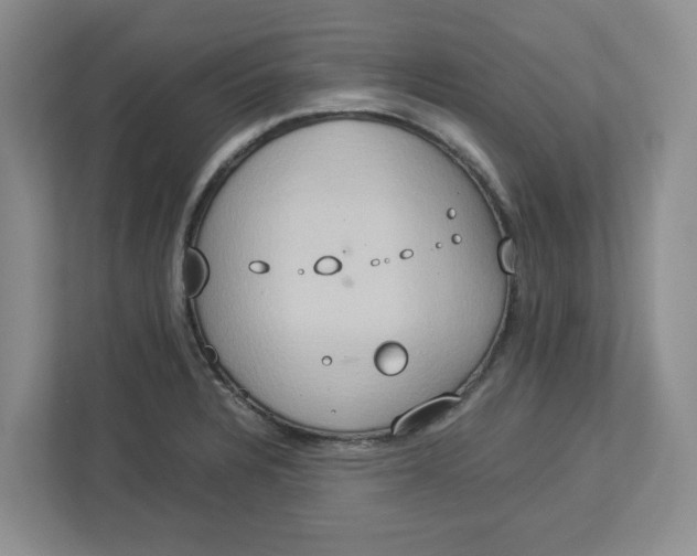 X0000112951328200909141359