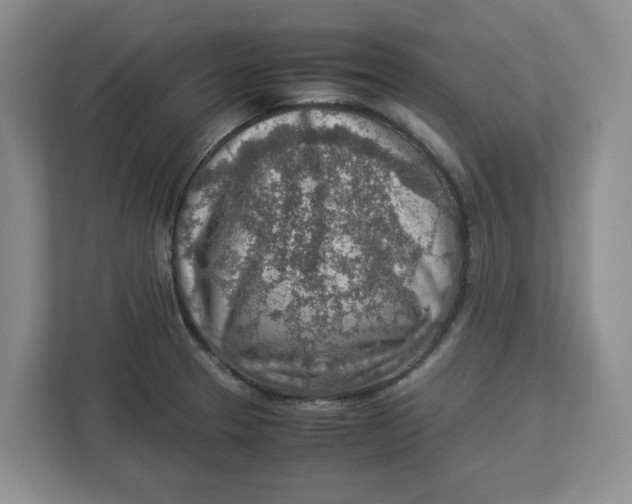 X0000112951329200909141359