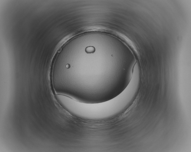 X0000112951330200909141359