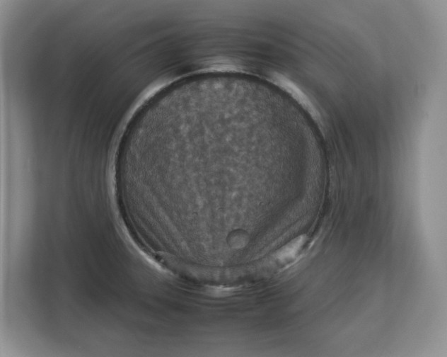 X0000112951331200909141359