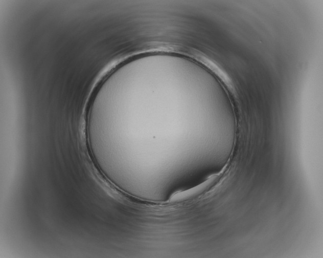 X0000112951332200909141359