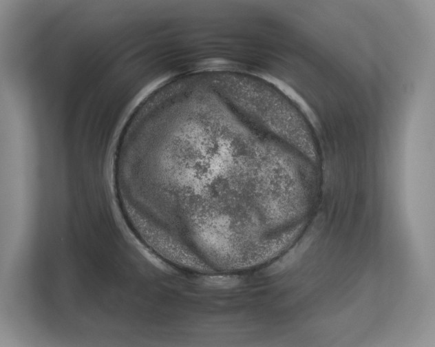 X0000112951333200909141359