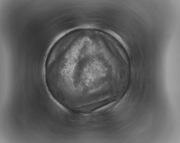 X0000112951335200909141359