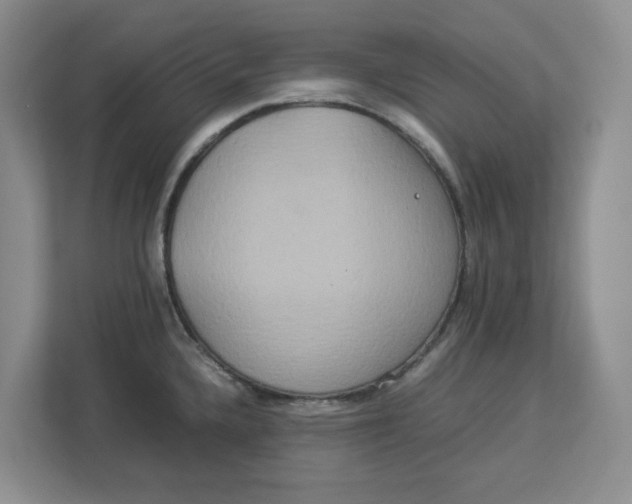 X0000112951336200909141359