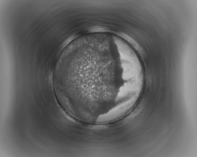 X0000112951337200909141359