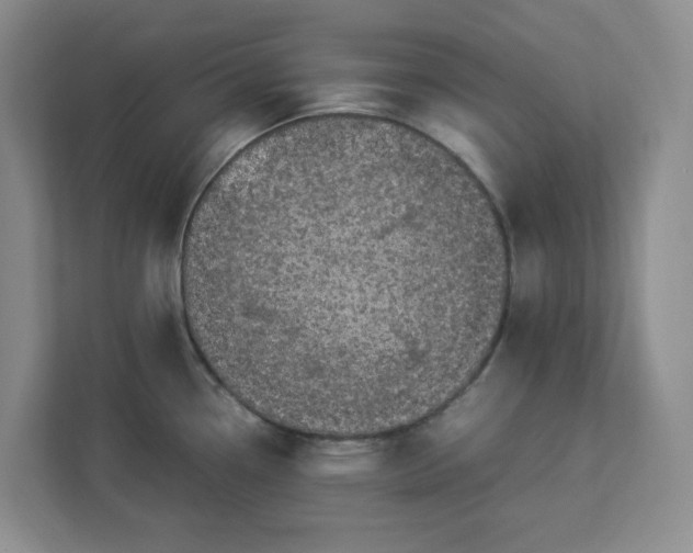 X0000112951338200909141359