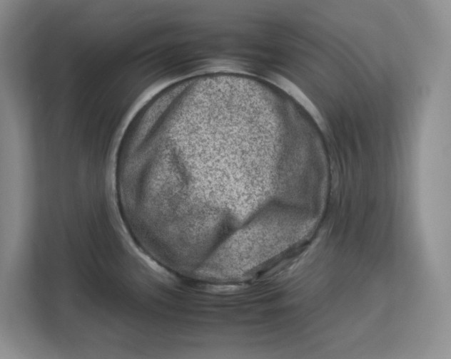 X0000112951339200909141359