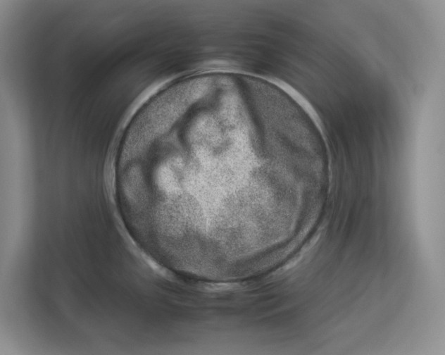 X0000112951341200909141359