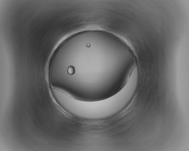 X0000112951342200909141359