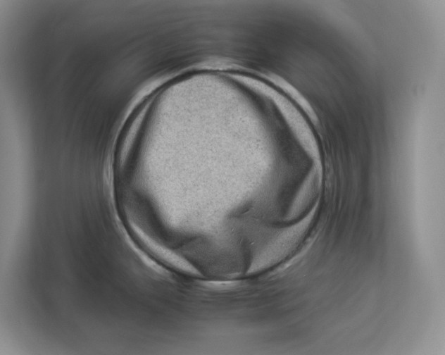 X0000112951343200909141359