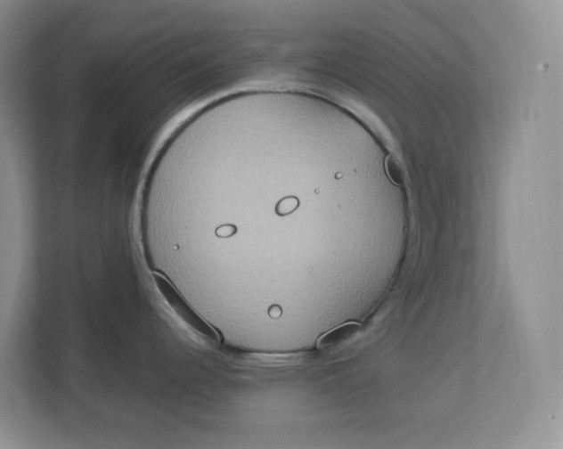 X0000112951344200909141359