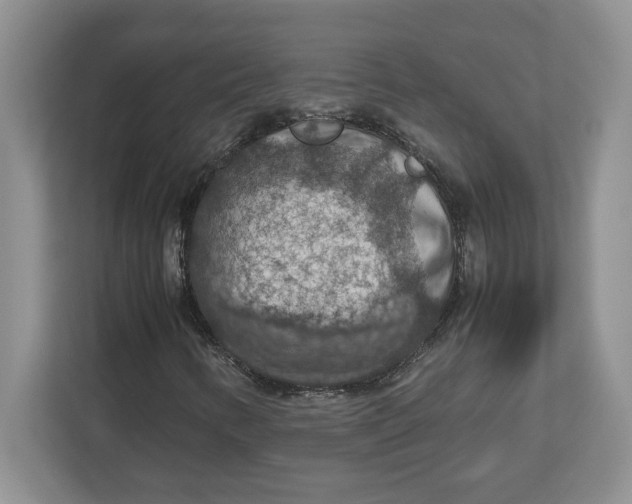 X0000112951346200909141359