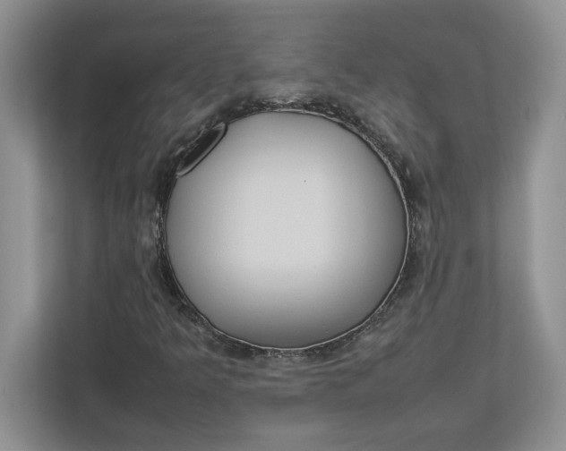 X0000112951349200909141359