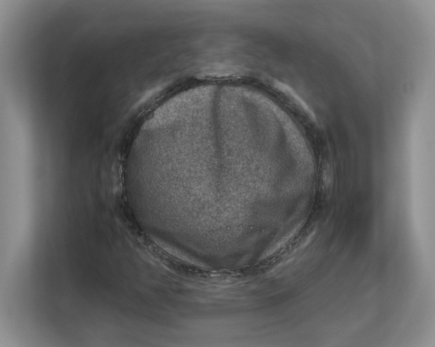 X0000112951350200909141359