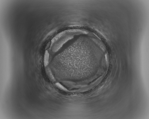 X0000112951351200909141359