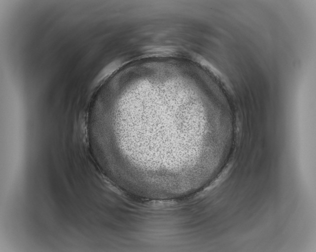 X0000112951354200909141359