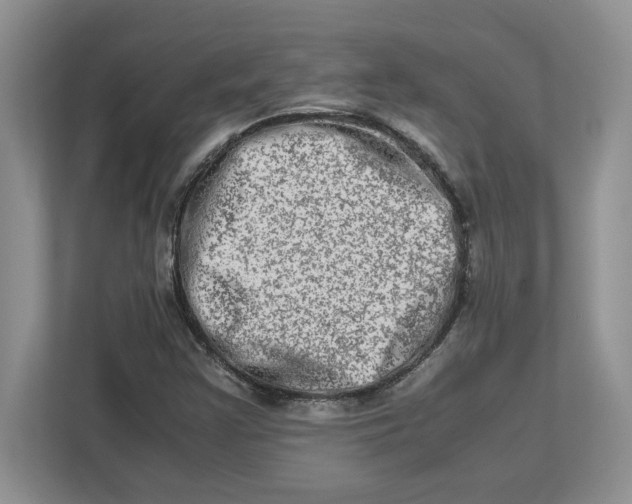 X0000112951355200909141359