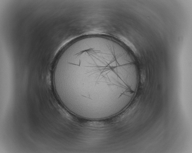 X0000112951356200909141359