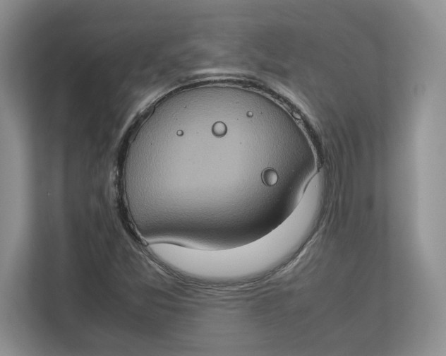 X0000112951357200909141359