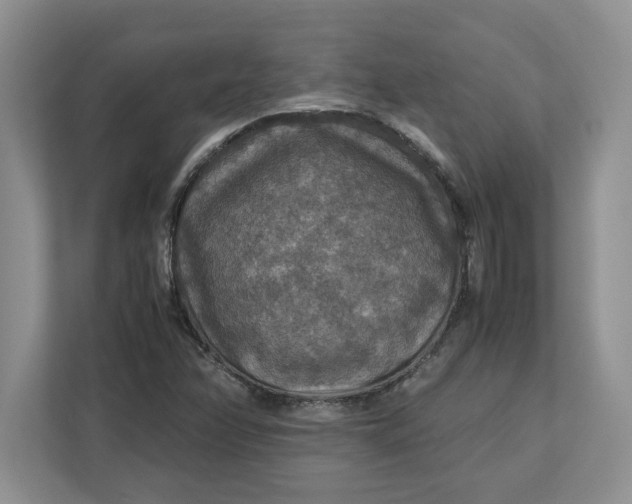 X0000112951358200909141359