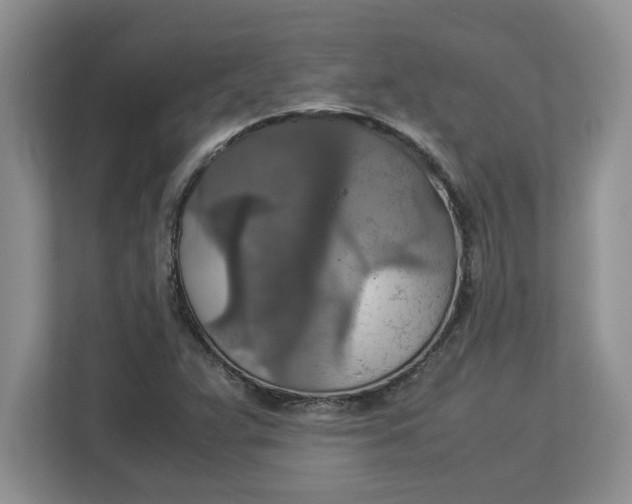 X0000112951359200909141359