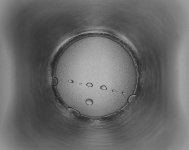 X0000112951360200909141359