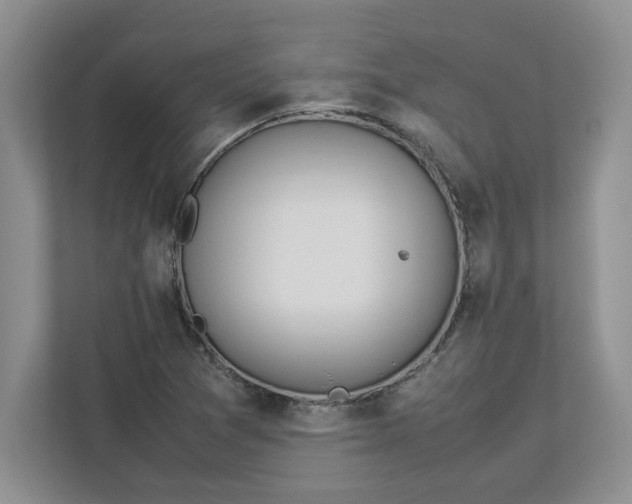 X0000112951361200909141359