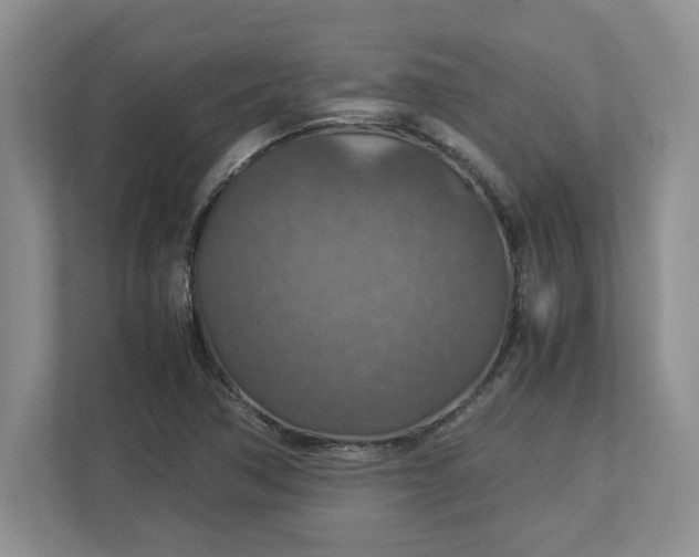 X0000112951362200909141359