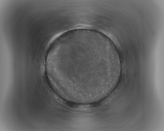 X0000112951363200909141359