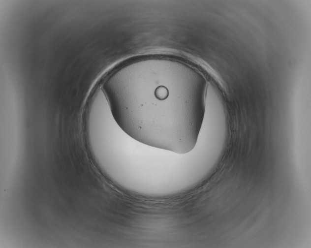 X0000112951364200909141359