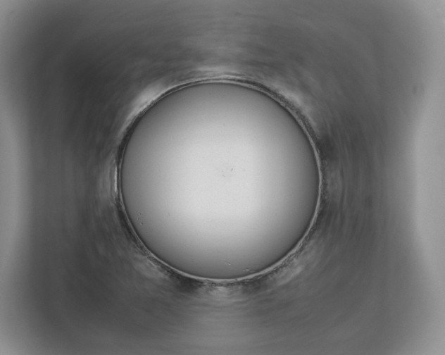 X0000112951365200909141359