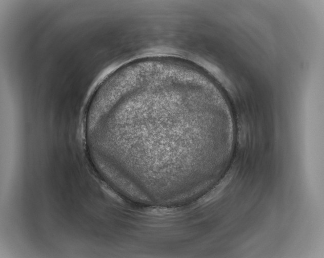 X0000112951366200909141359