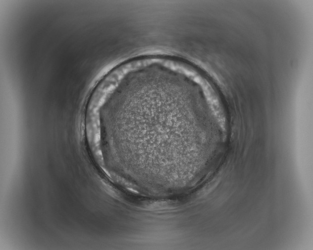 X0000112951367200909141359