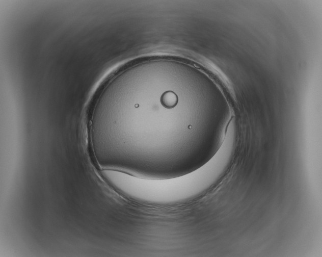 X0000112951368200909141359