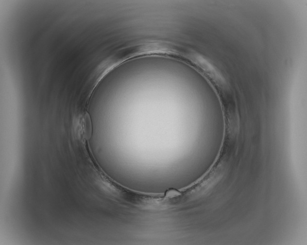 X0000112951369200909141359