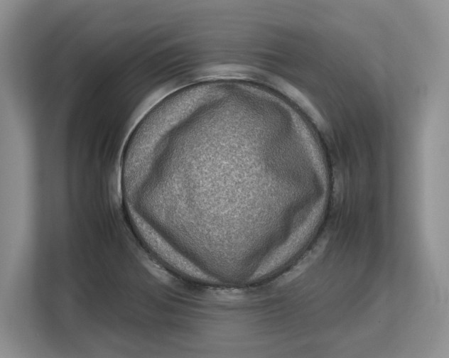 X0000112951370200909141359