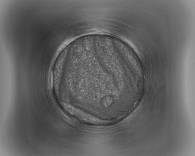 X0000112951371200909141359