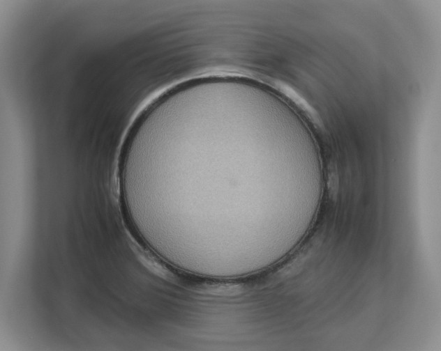 X0000112951372200909141359