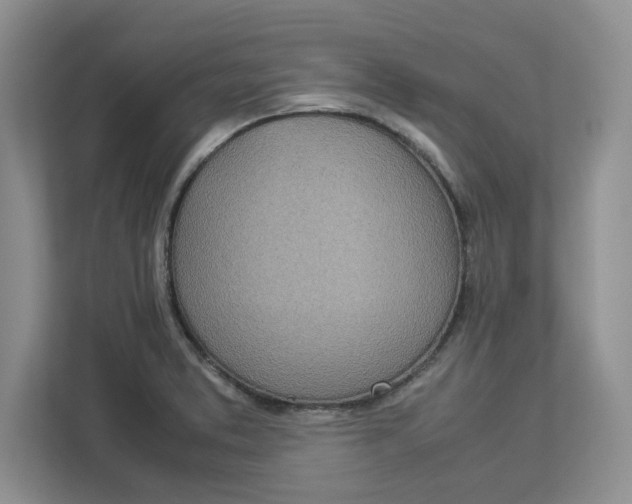 X0000112951373200909141358