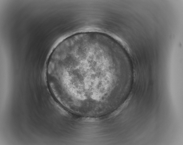 X0000112951374200909141358