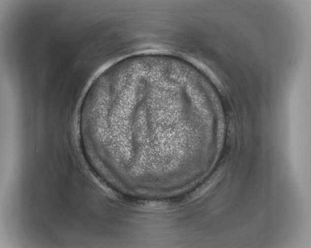 X0000112951375200909141358