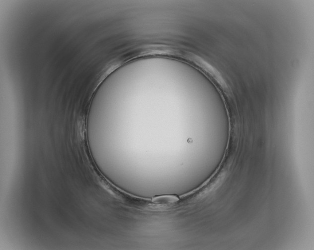 X0000112951377200909141358