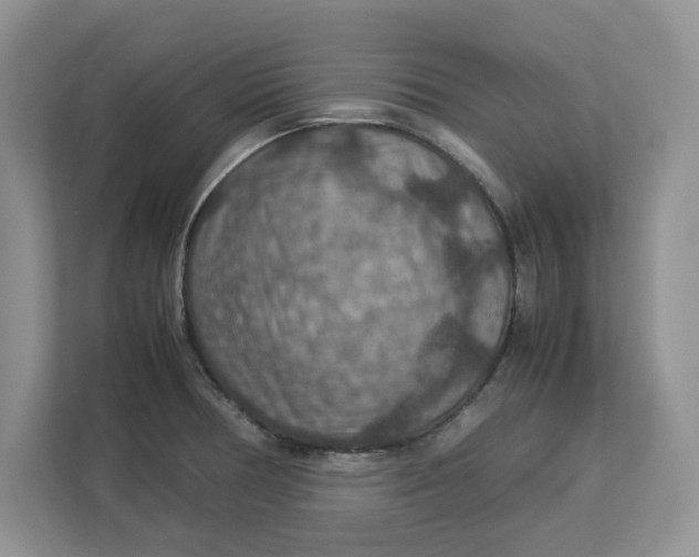 X0000112951378200909141358