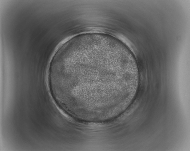 X0000112951379200909141358